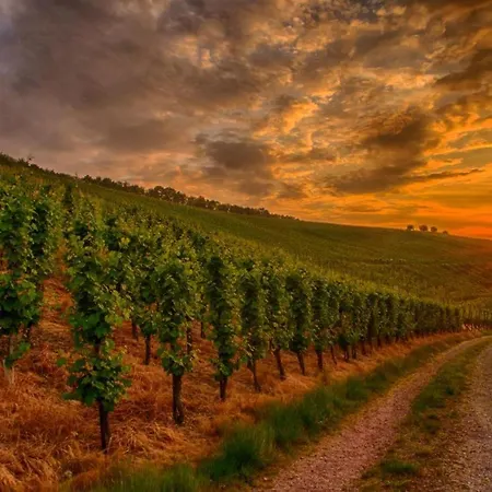 Moselliebe Apartamento Lehmen