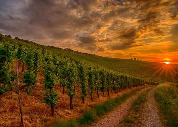 Moselliebe Apartament Lehmen